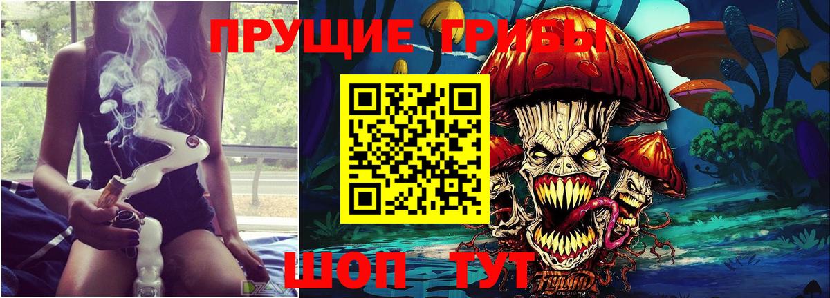 Курчатов  Галлюциногенные грибы ЛСД  Вход с VPN 